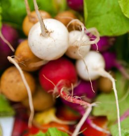 The Magic of Farmers’ Markets Image